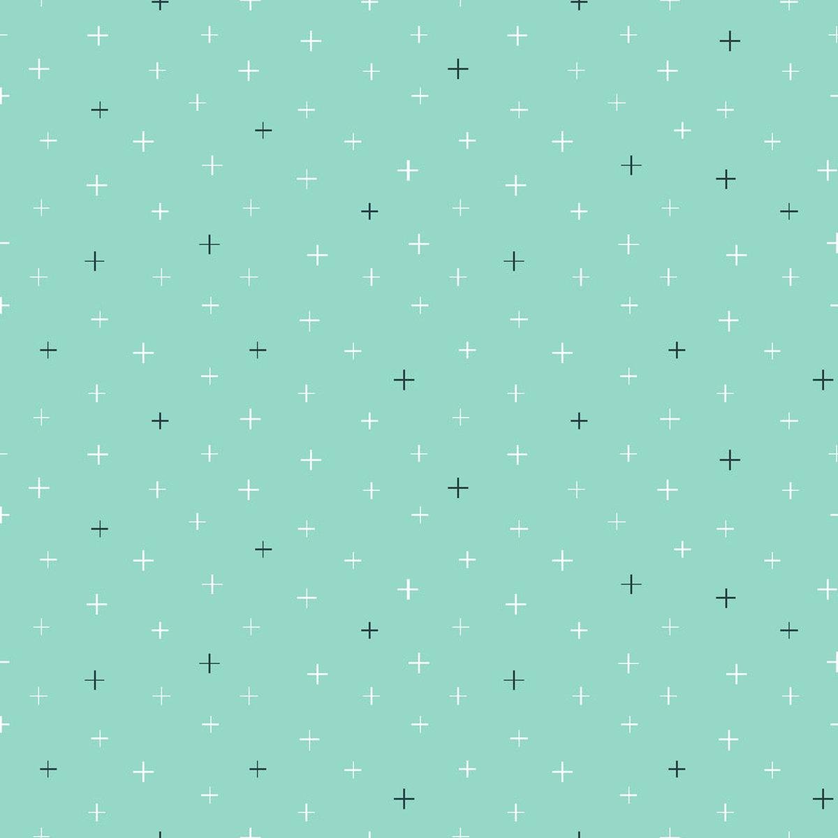 Be Positive - Soft Aqua | Cotton + Steel Basics