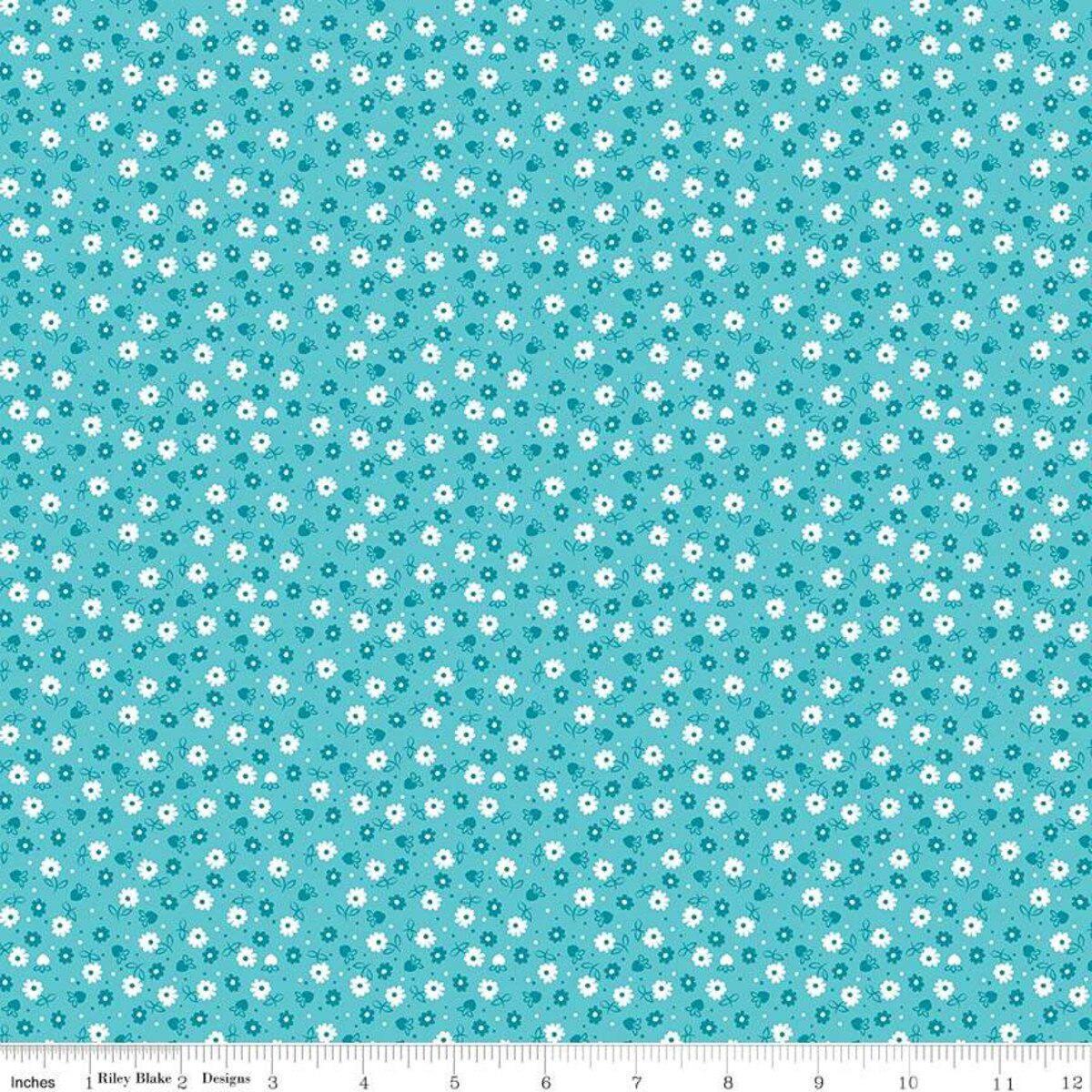 Daisy Blue