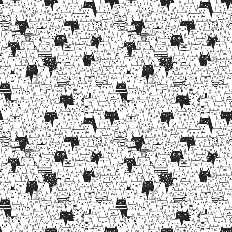 Packed Cats Fabric
