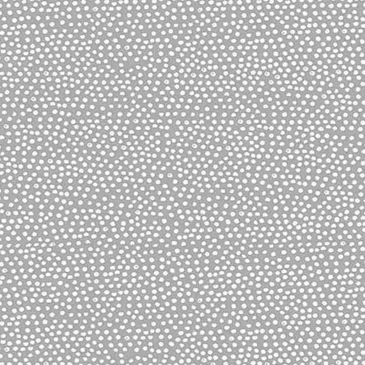Timeless Treasures - C1130 Grey