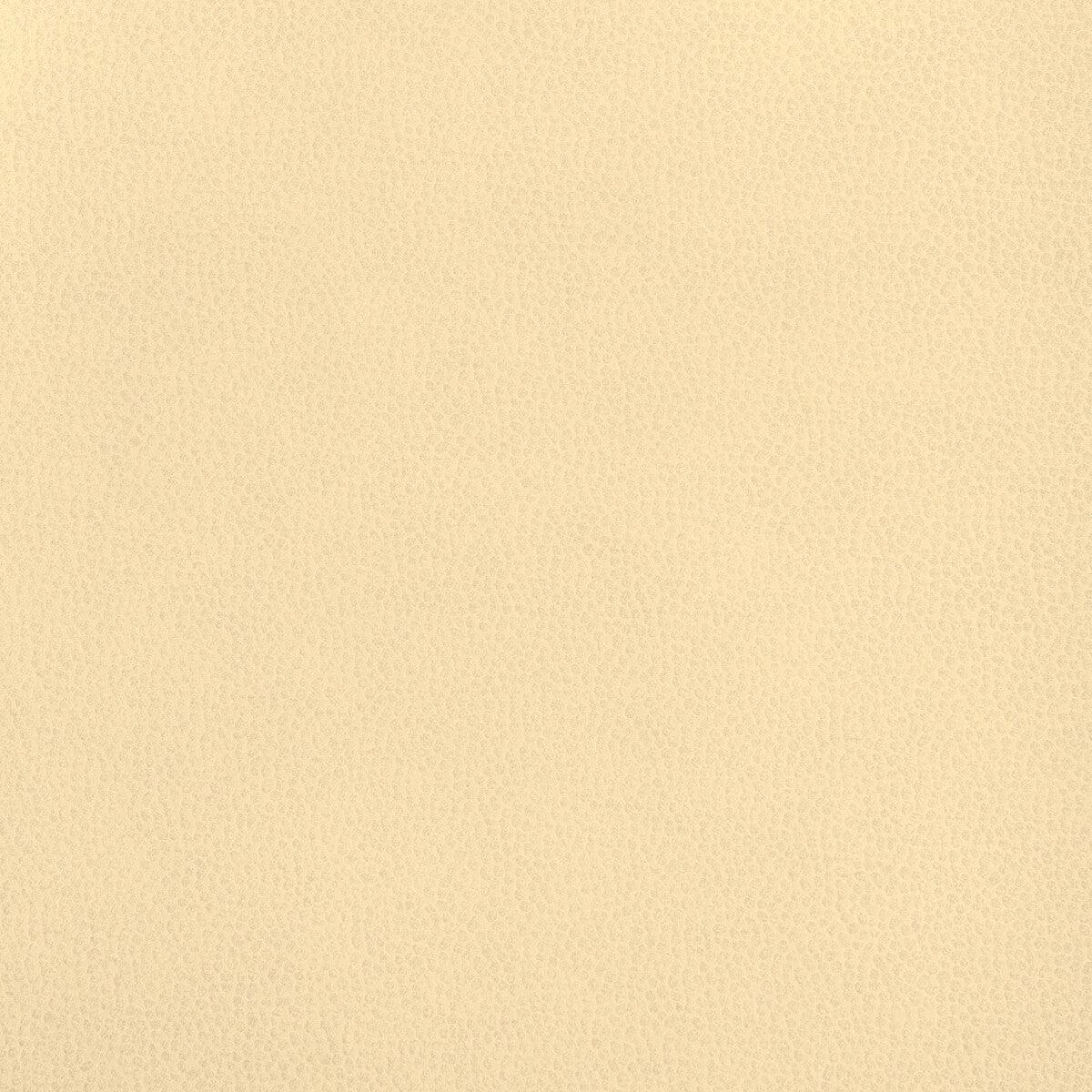 37028.1.0 KRAVET DESIGN 36812-1 - KRAVET DESIGN Fabric - YARD