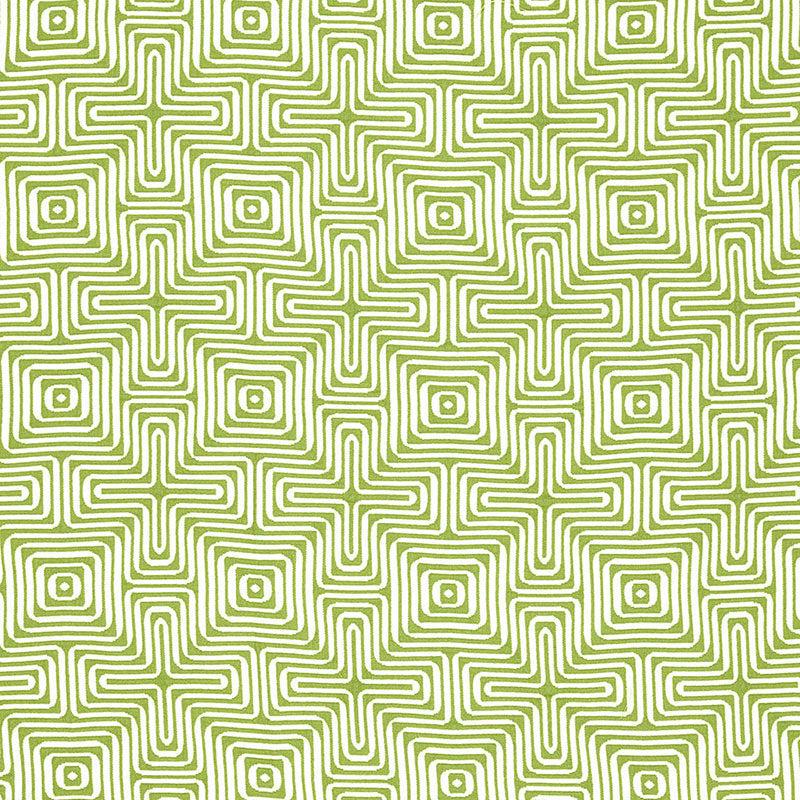 AMAZING MAZE INDOOR/OUTDOOR | Palm