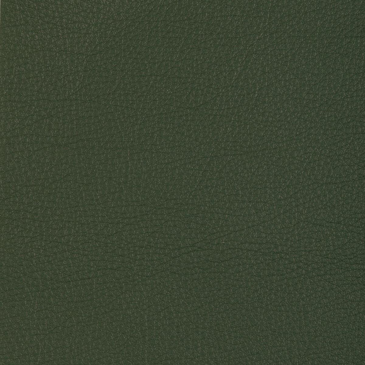 KRAVET DESIGN - KRAVET DESIGN- L-MANZANO-SAGE - Fabric by the SQUARE FOOT - L-MANZANO-SAGE