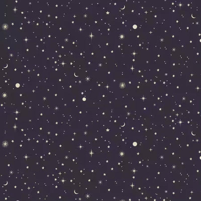 Preorder June 2026: Love at First Bite Bootiful Sky Raven D3486 by Dear Stella
