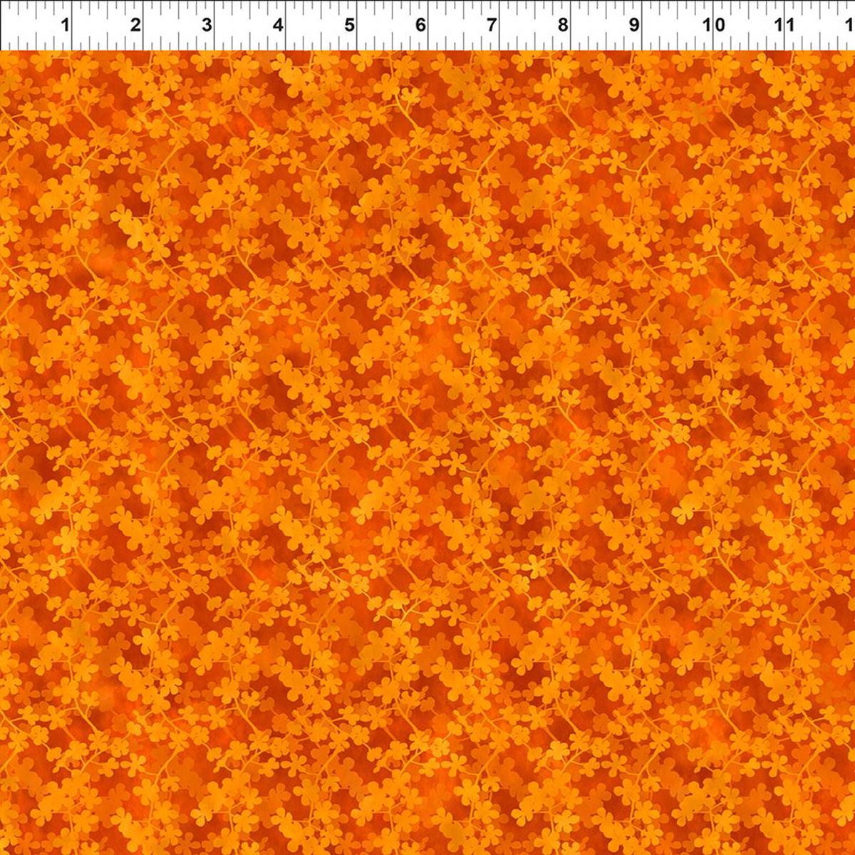 The Sunshine Collection by Jason Yenter for In The Beginning Fabrics:  (AS 5SS-1)