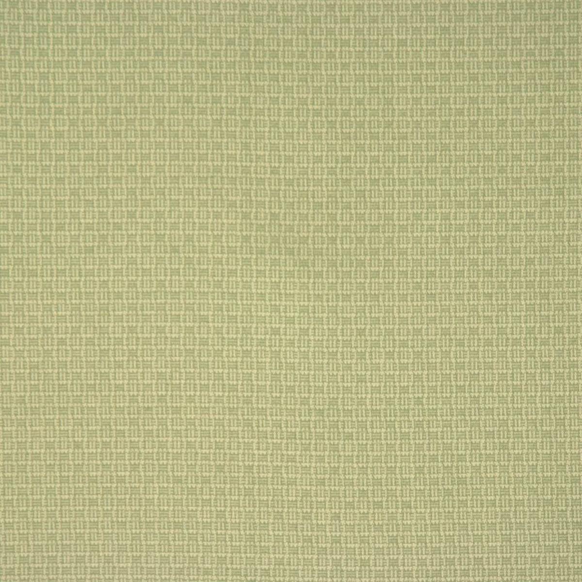 COE  MINT RM Coco Fabric