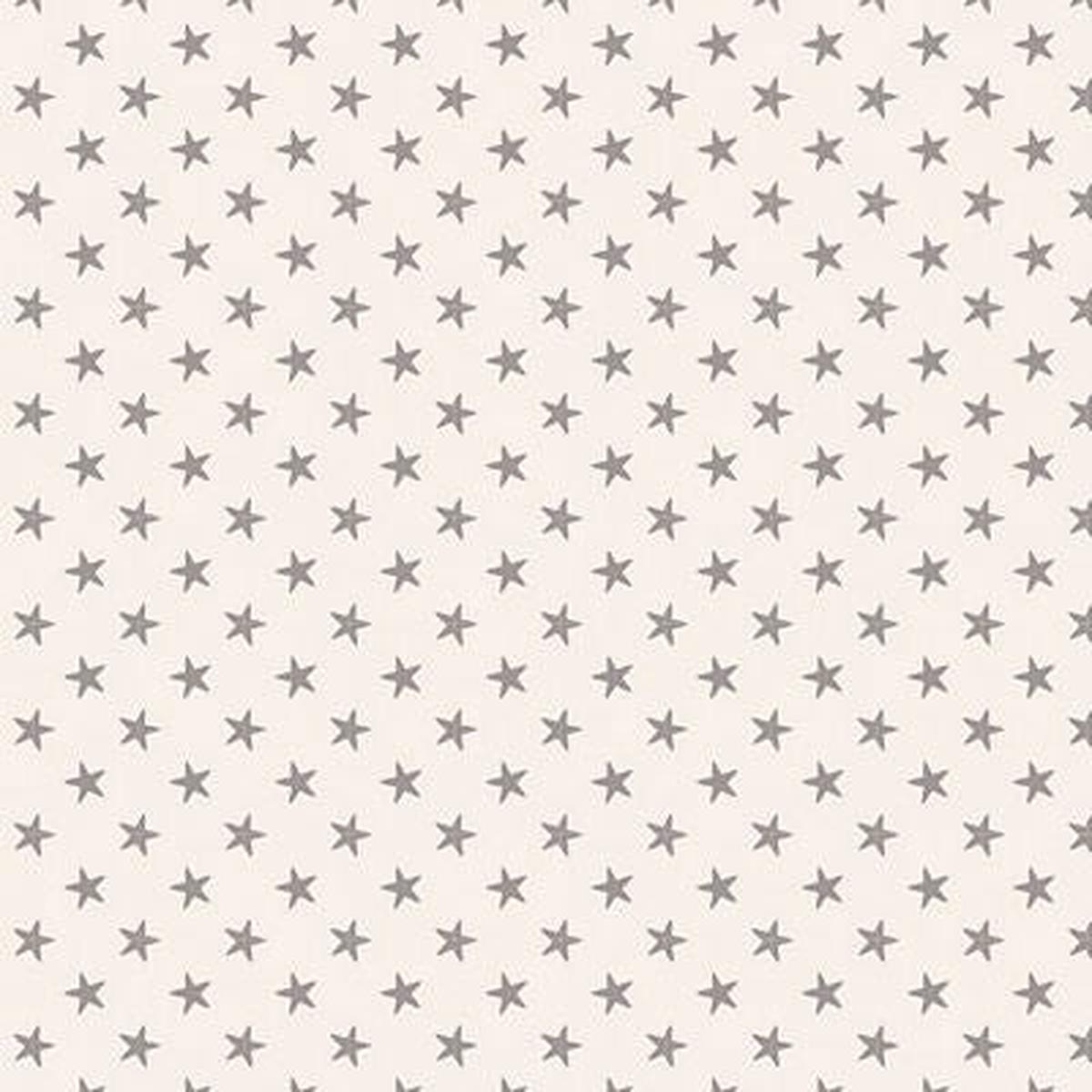 Fabric TIL130039-V11 Tilda- Basic Classics Tiny Star GREY