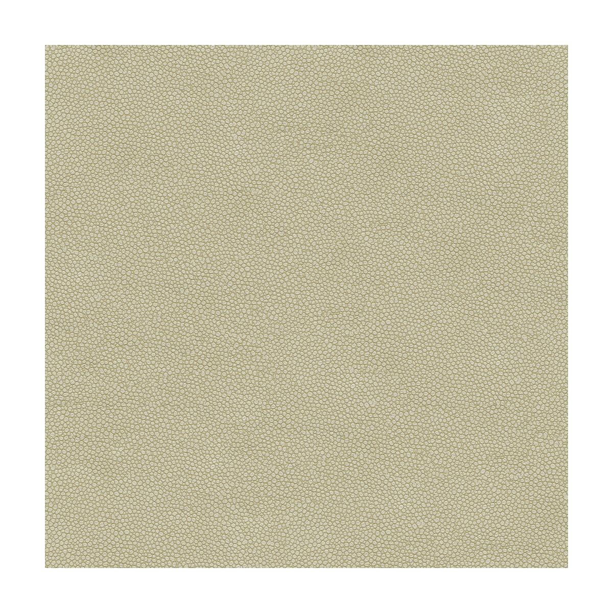 Kravet Design Pietra-1111 Fabric
