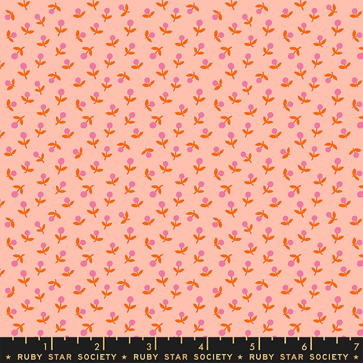 PEACH Star Sprout from Meadow Star by Alexia Marcelle Abegg for Ruby Star Society