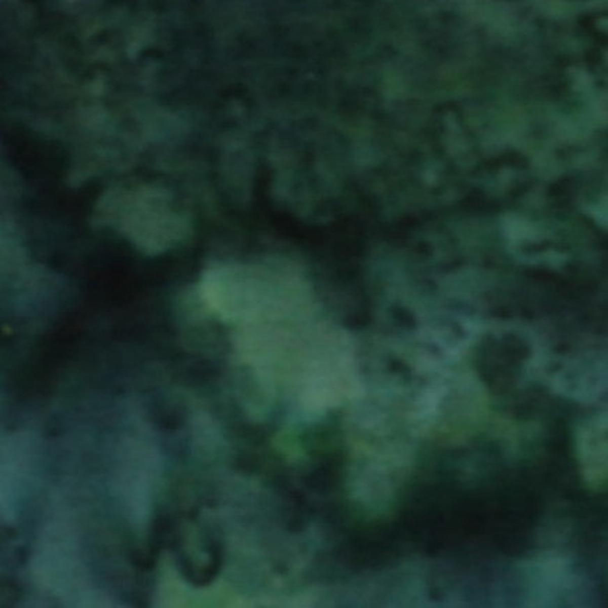 Anthology Lava Batik Solids 1881 Willow (Dark Green)