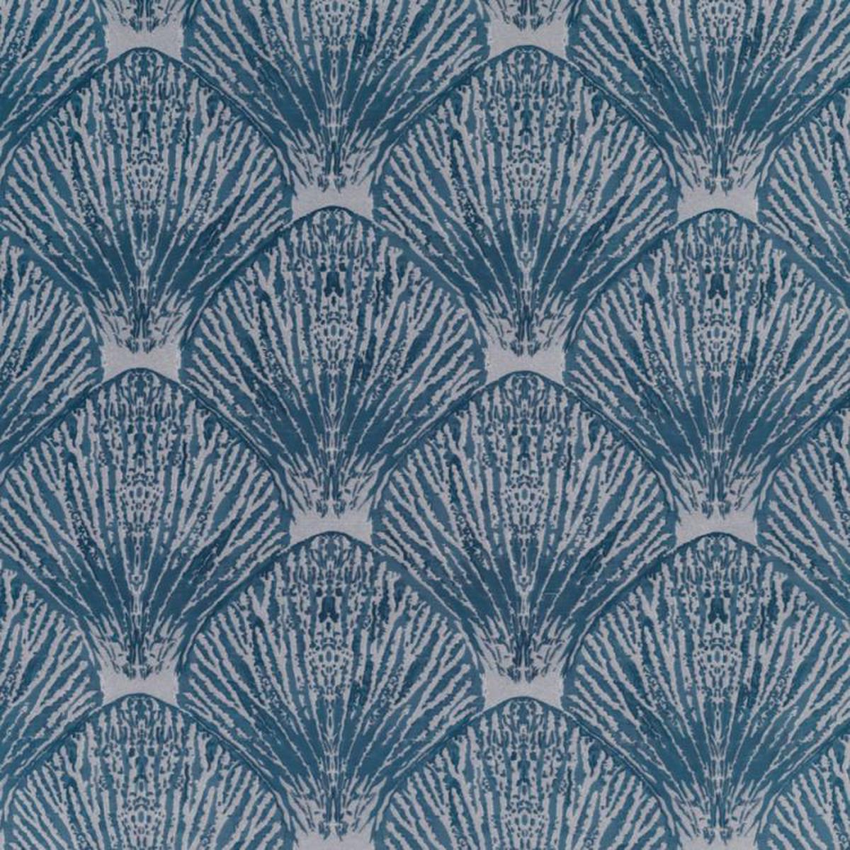 Coquille Deep Sea