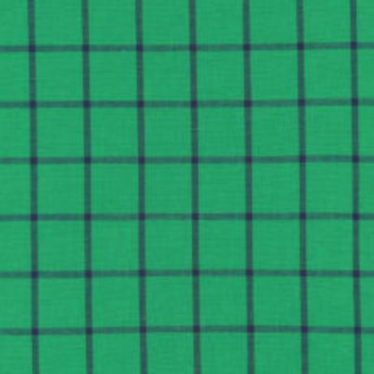 Window Dressing Big Plaids in Green --- Cloud 9