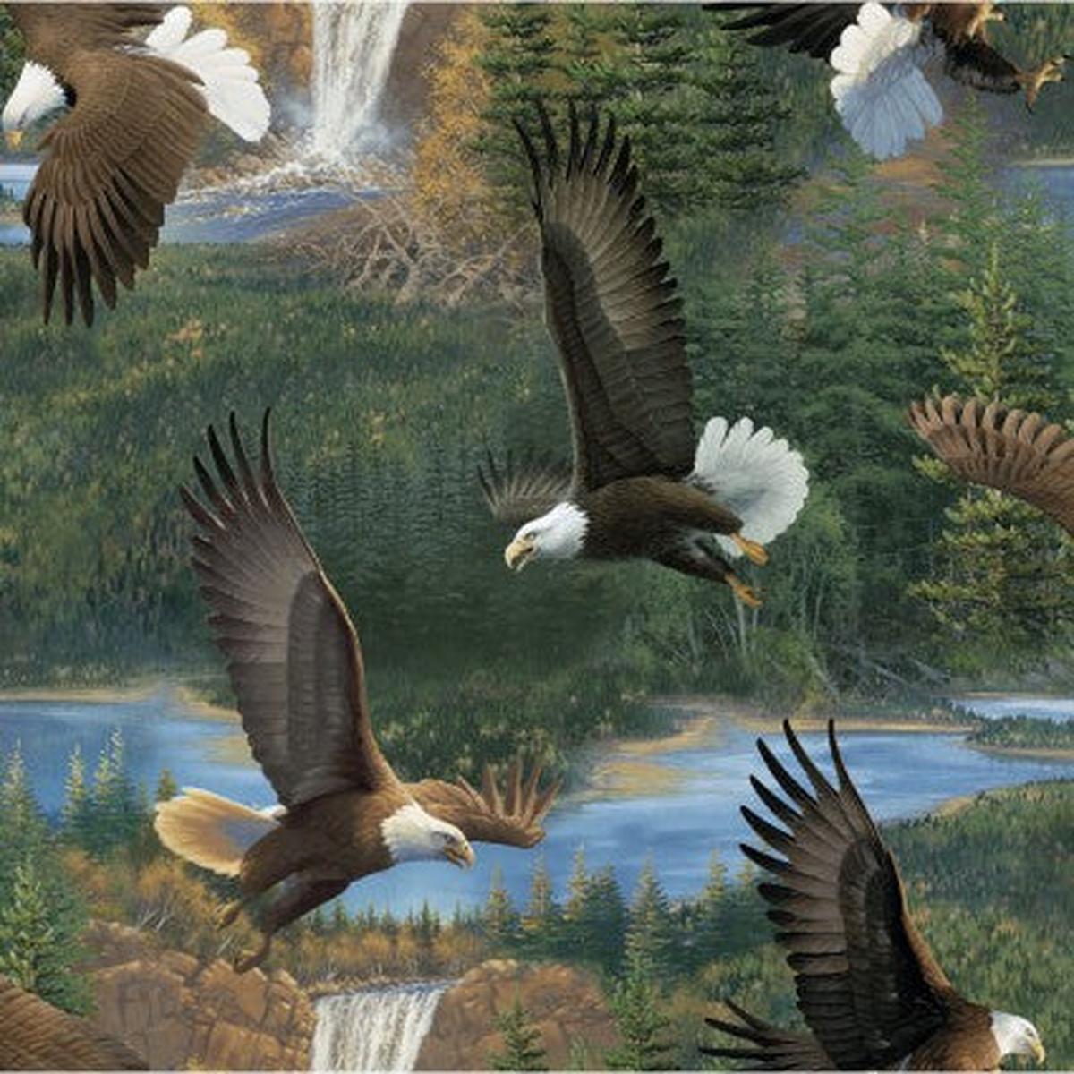 Wild Wings Scenic Somerset Point Eagles Cotton Fabric - 1 yard