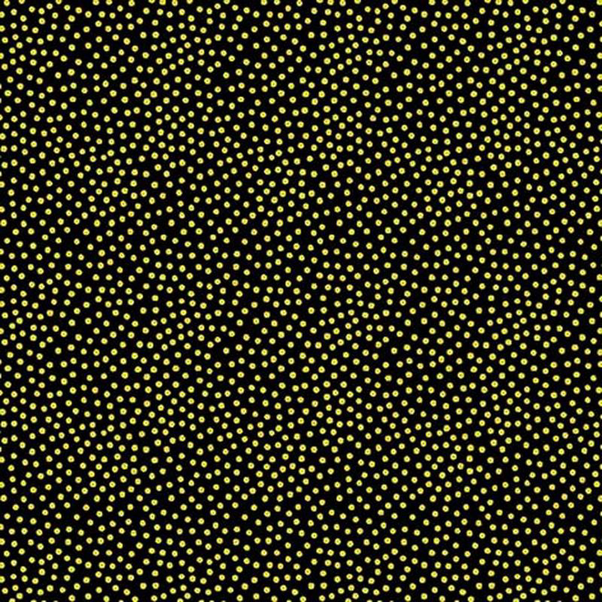 Garden Pindot Metallic Black Michael Miller Cotton Fabric MM-CM1065-BLAC