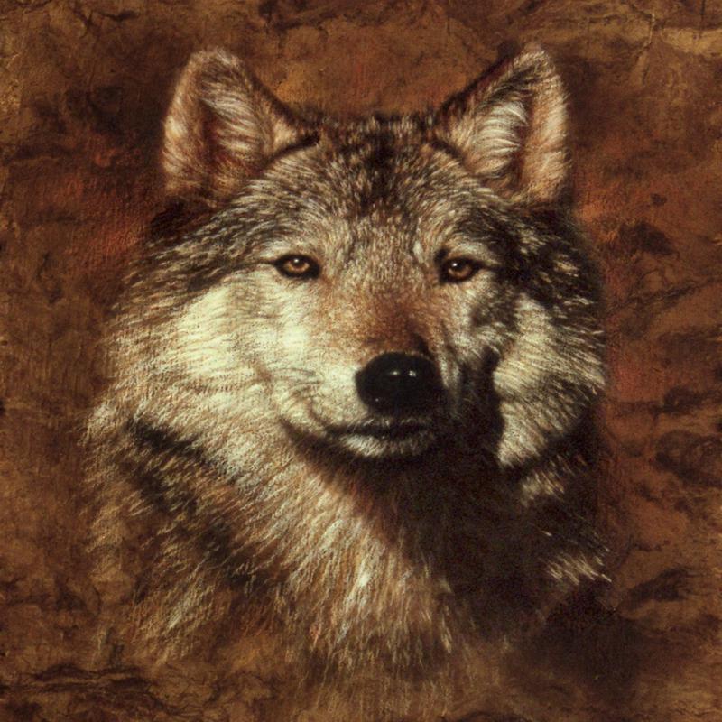 Wolf on Bark Portraits of Perfection Panel 36" Brown David Textiles Cotton Fabric DT-ML-3176-0C-1 1