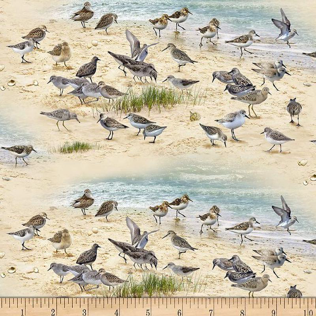 (SOLD PER BOLT) Coastal Scene Dreams Sandpipers Birds Sand Elizabeth8217s Studio Cotton Fabric ES-593-Sand-FB