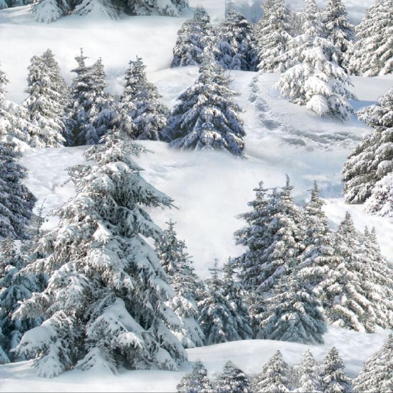 Winter Trees Snow Covered mountain Landscape Medley Elizabeth's Studio Cotton Fabric ES-215-White