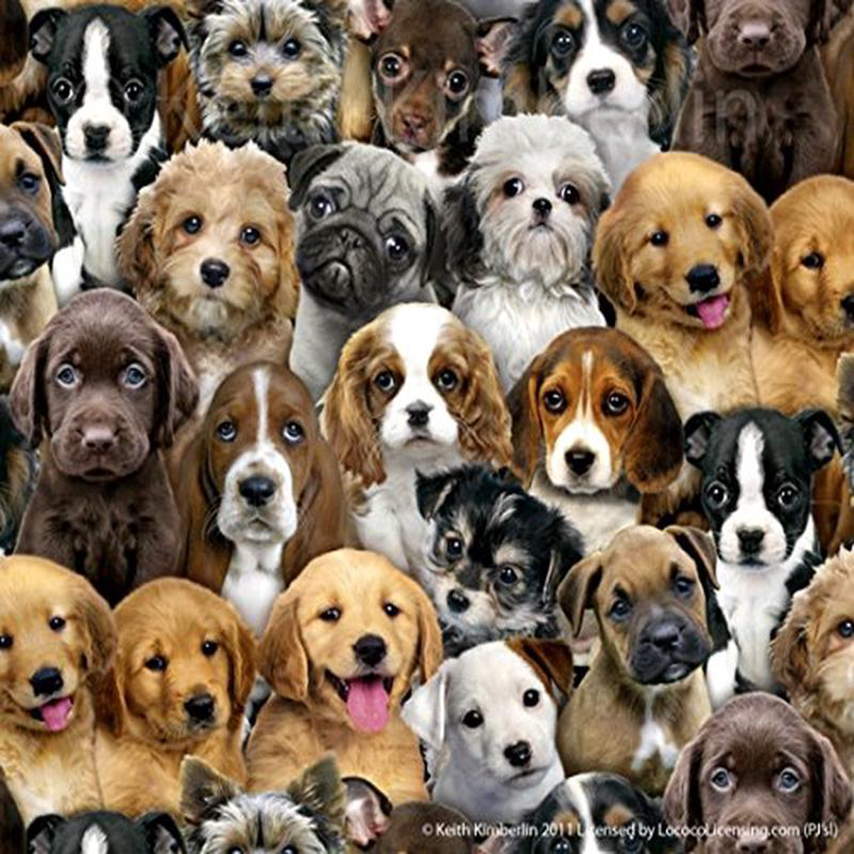 Adorable Dogs Pets Stacked Puppies Elizabeth8217s Studio Cotton Fabric ES-3800 Black