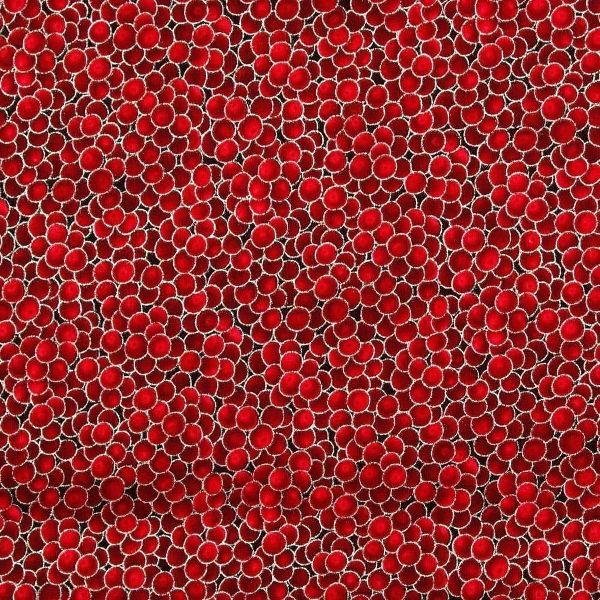 Winter Magic Berries Red Silver Metallic Hoffman Cotton Fabric 1