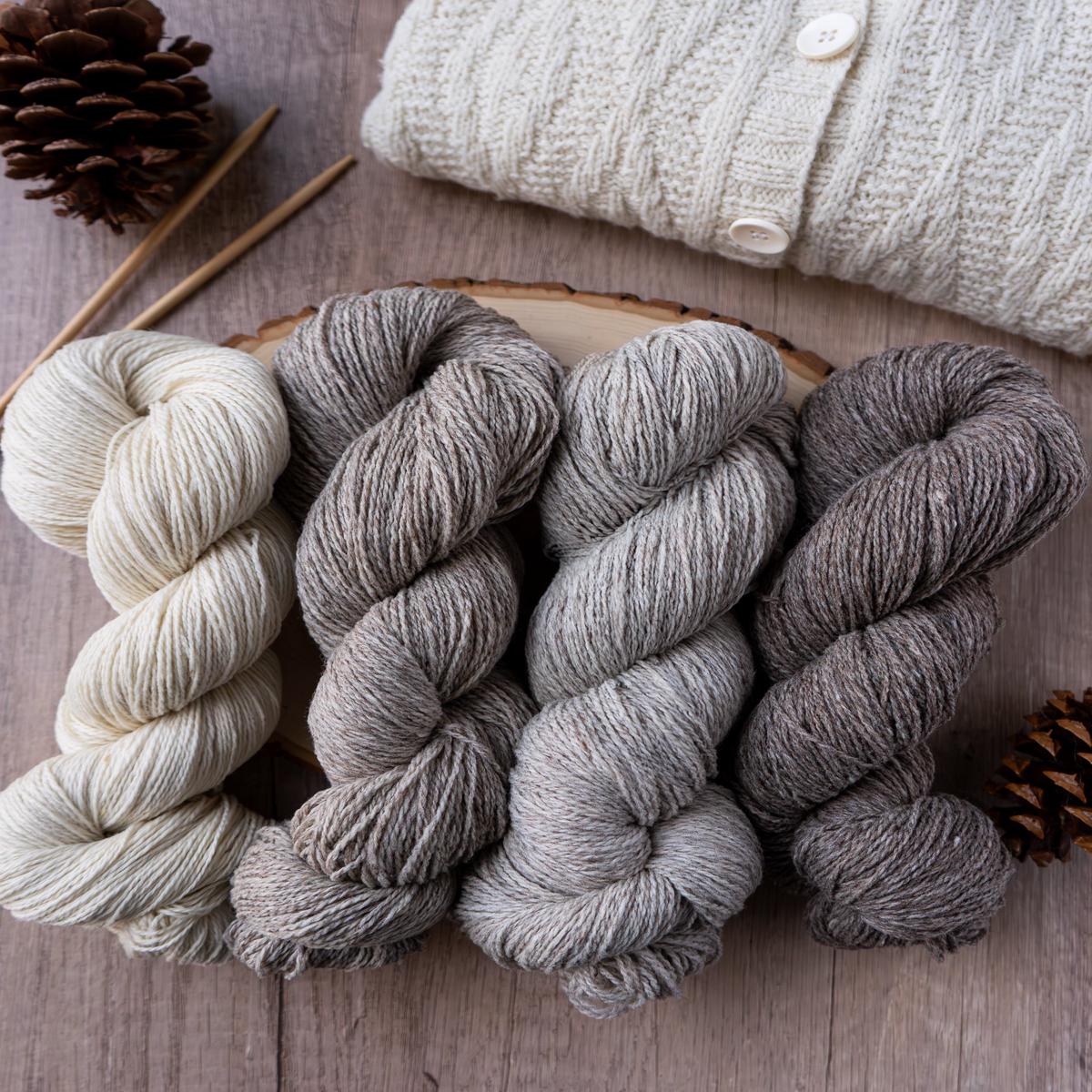 Targhee Tango Sport 100% targhee wool