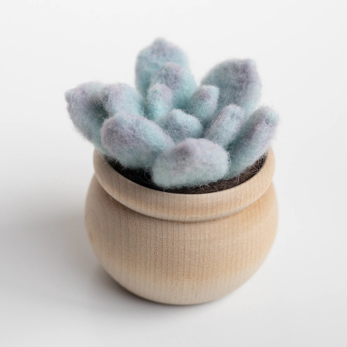 Ghost Plant Succulent Mini Needle Felting Kit | Felted Sky