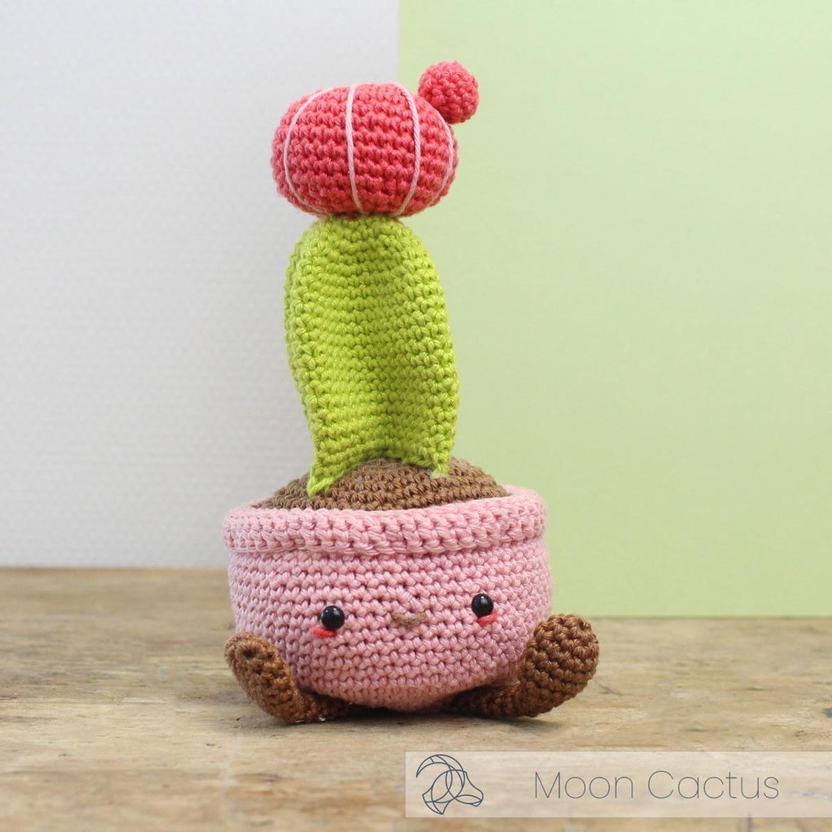 Moon Cactus Crochet Amigurumi Kit