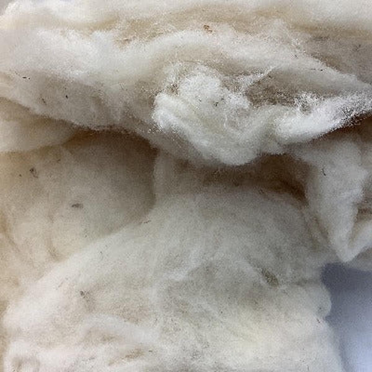Briggs & Little Carded Wool