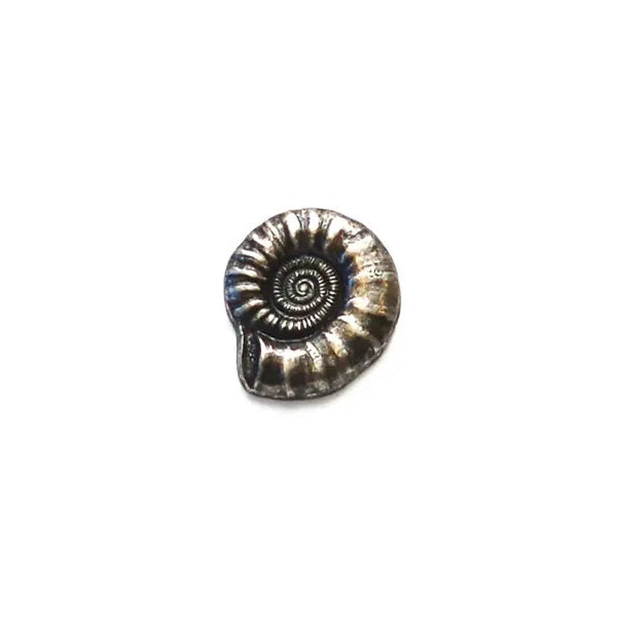 Metal Nautilus Shell Button - 20mm