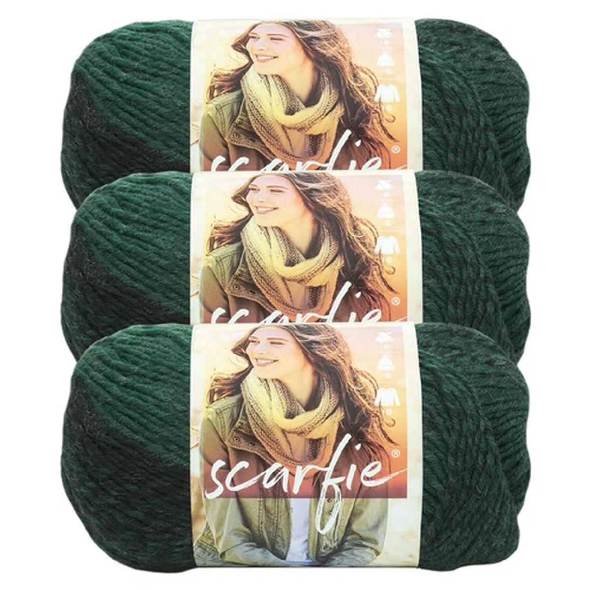 (3 Pack) Lion Brand Yarn 826-202AZ Scarfie Yarn, Forest/Black