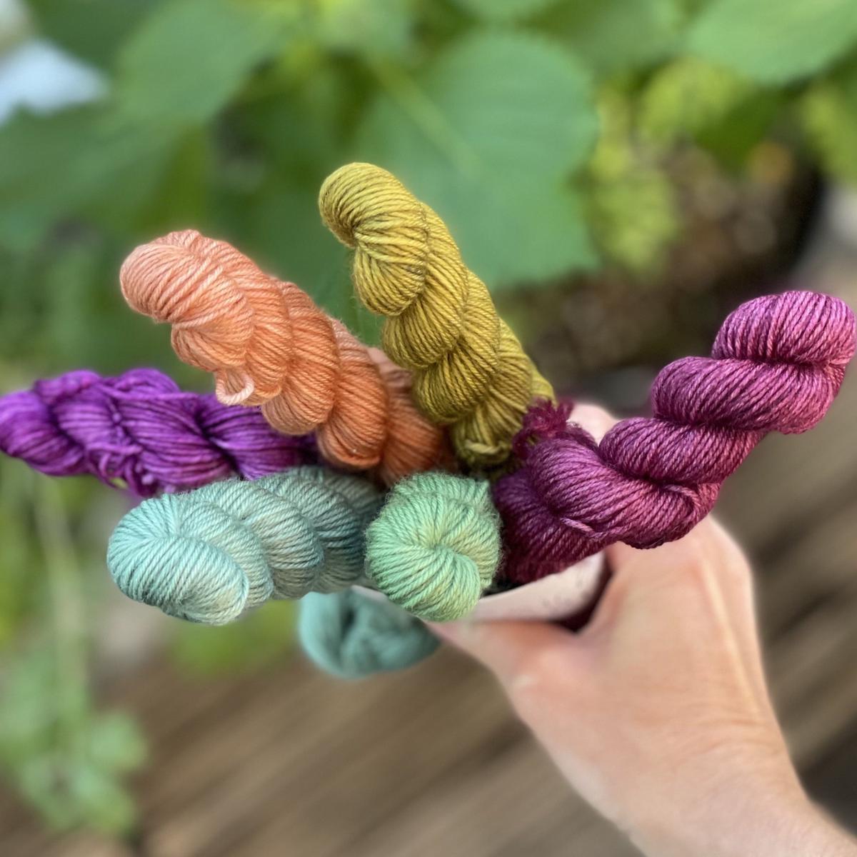 Botanical Yarn Fall Mini Skein Set