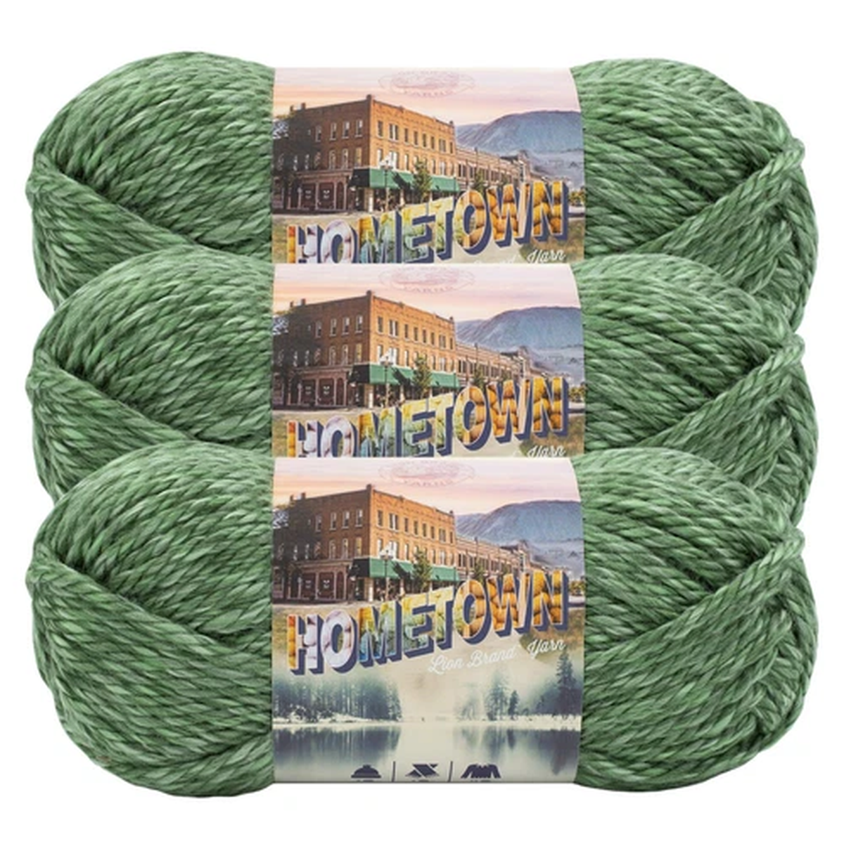 (3 Pack) Lion Brand Yarn 135-241G Hometown Yarn, Everglades
