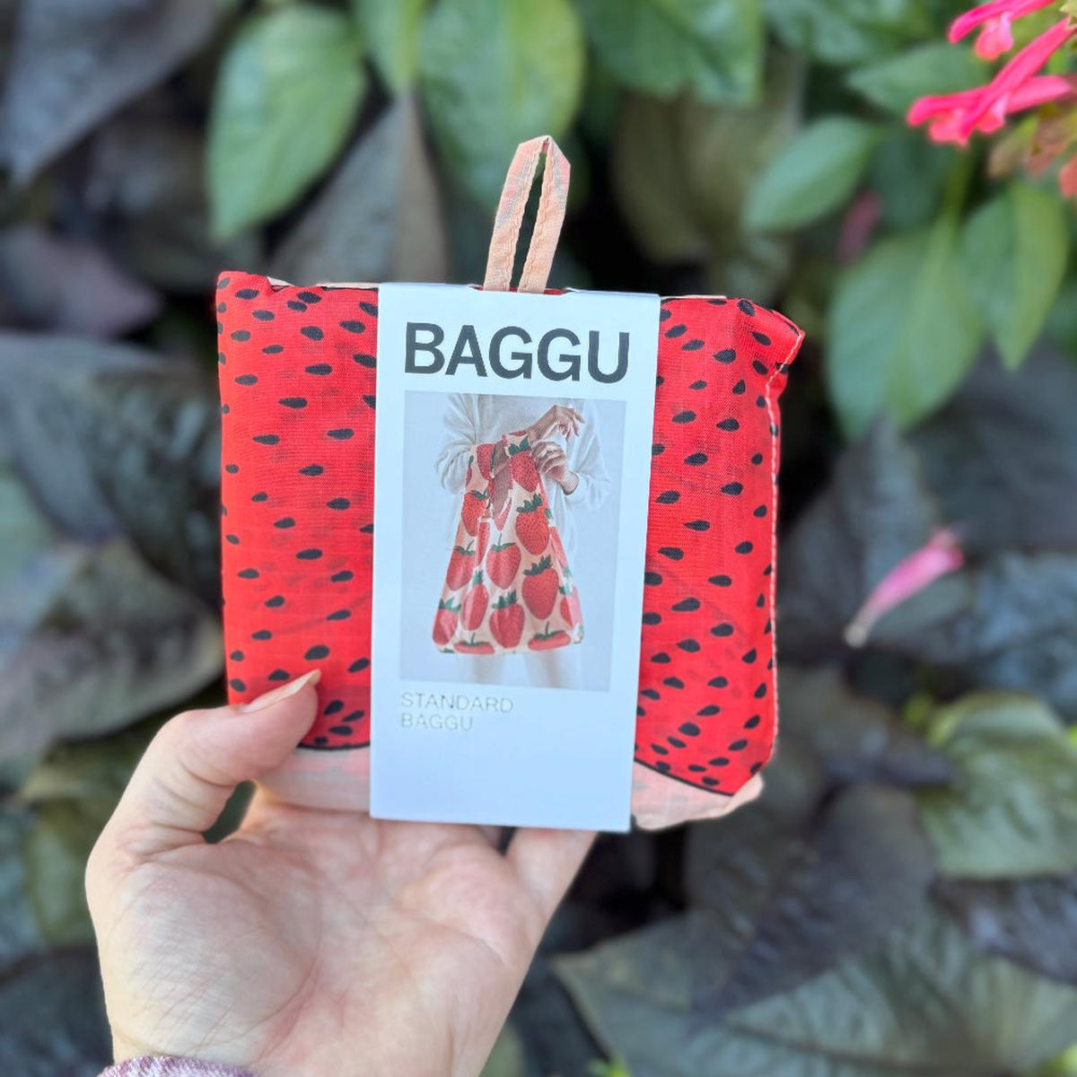 Baggu Standard Size