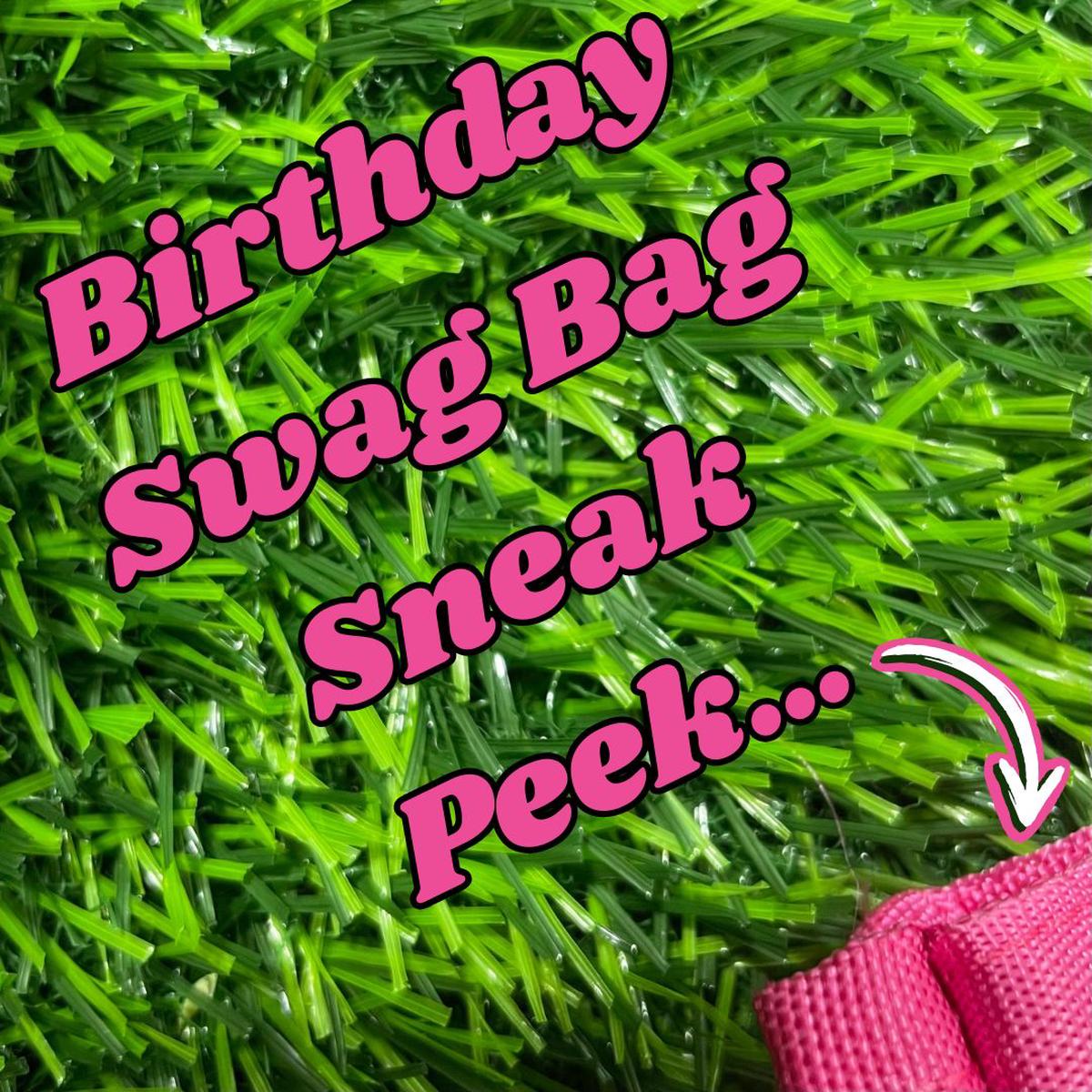 Birthday Party Swag Bag PRE-ORDER