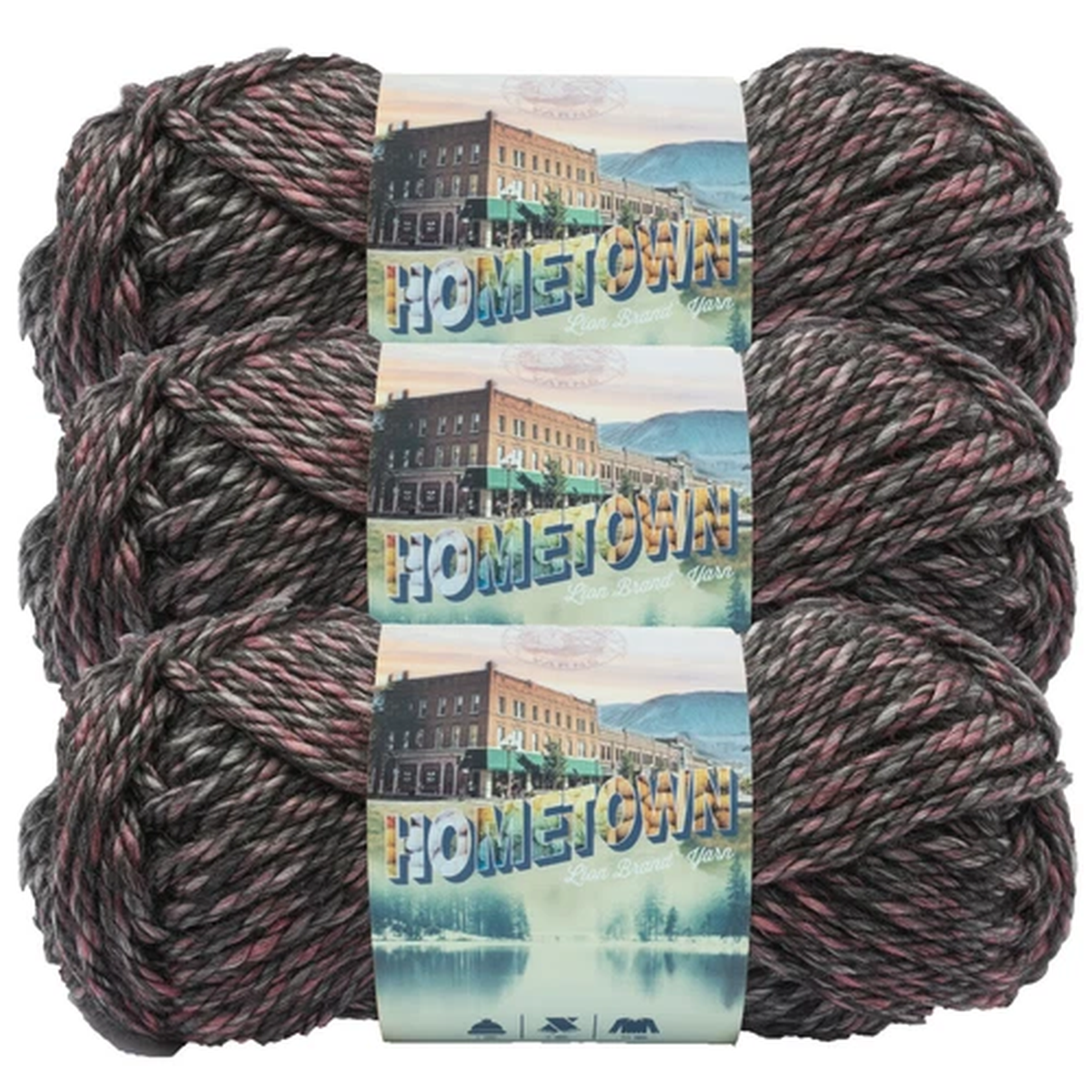 (3 Pack) Lion Brand Yarn 135-222J Hometown Bulky Yarn, Salem Creek