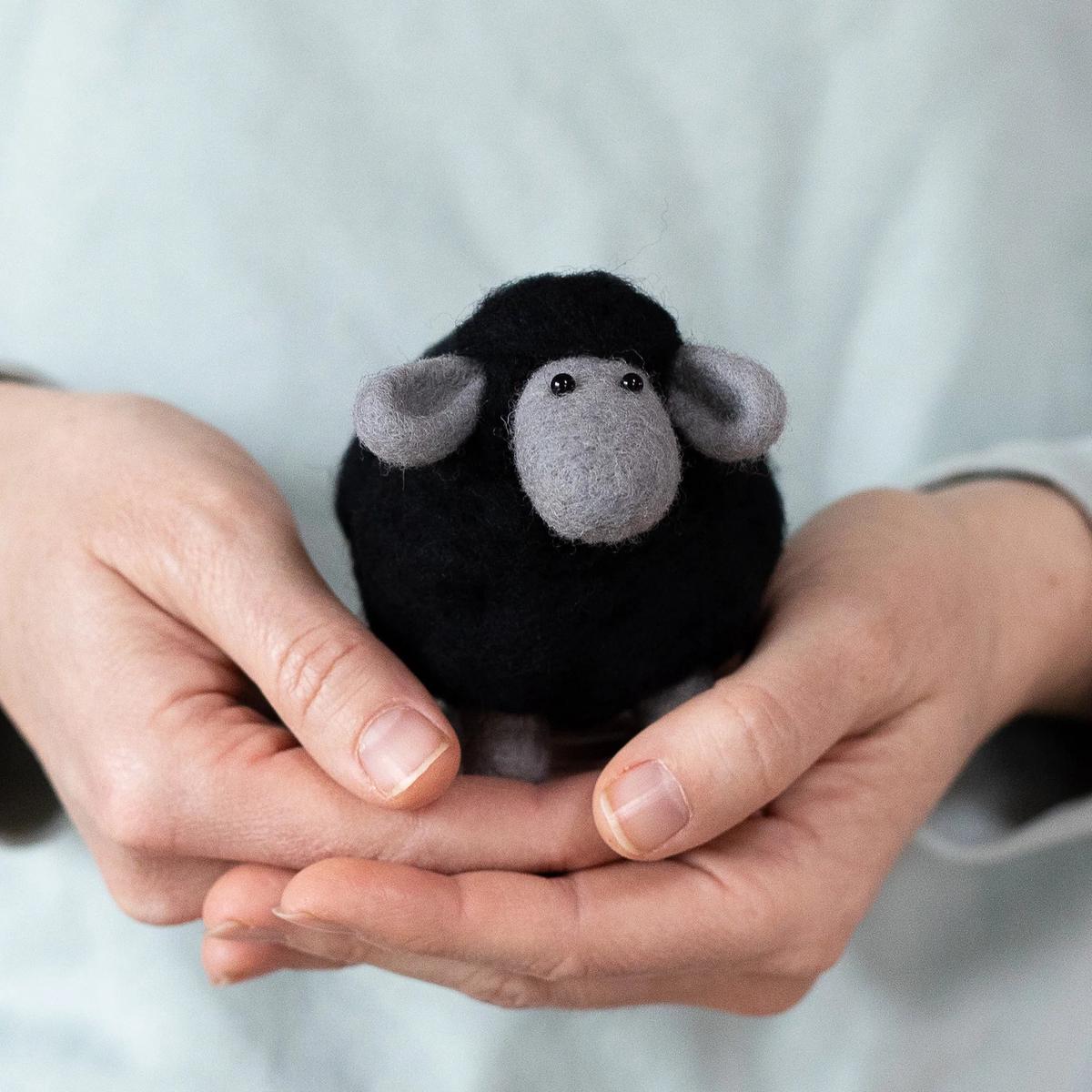 Black Sheep Mini Kit