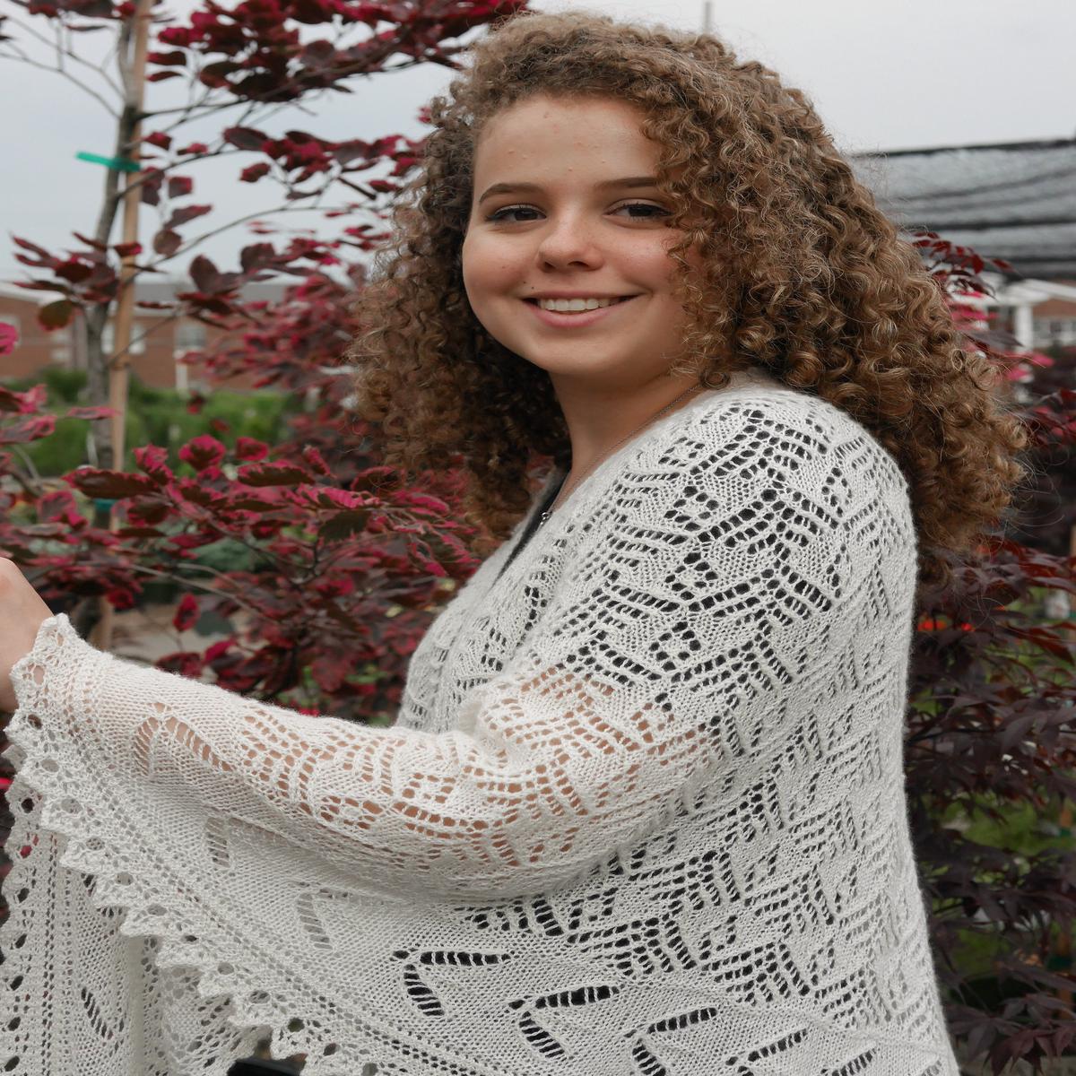 Lacewing knitting pattern