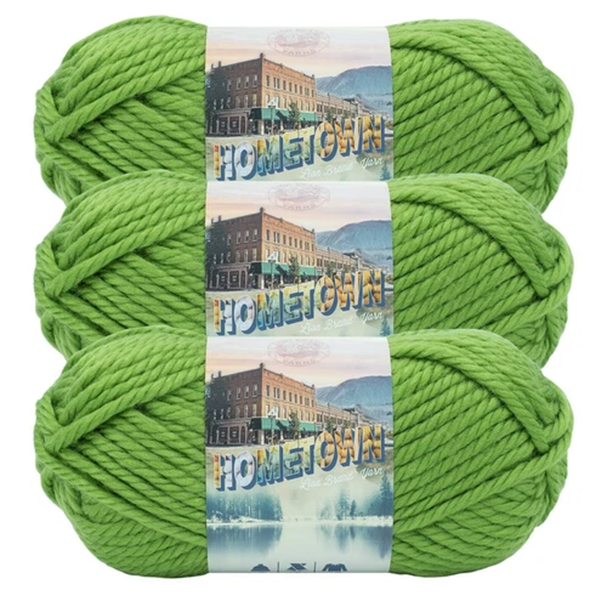 (3 Pack) Lion Brand Yarn 135-172D Hometown Bulky Yarn, Oklahoma City Green