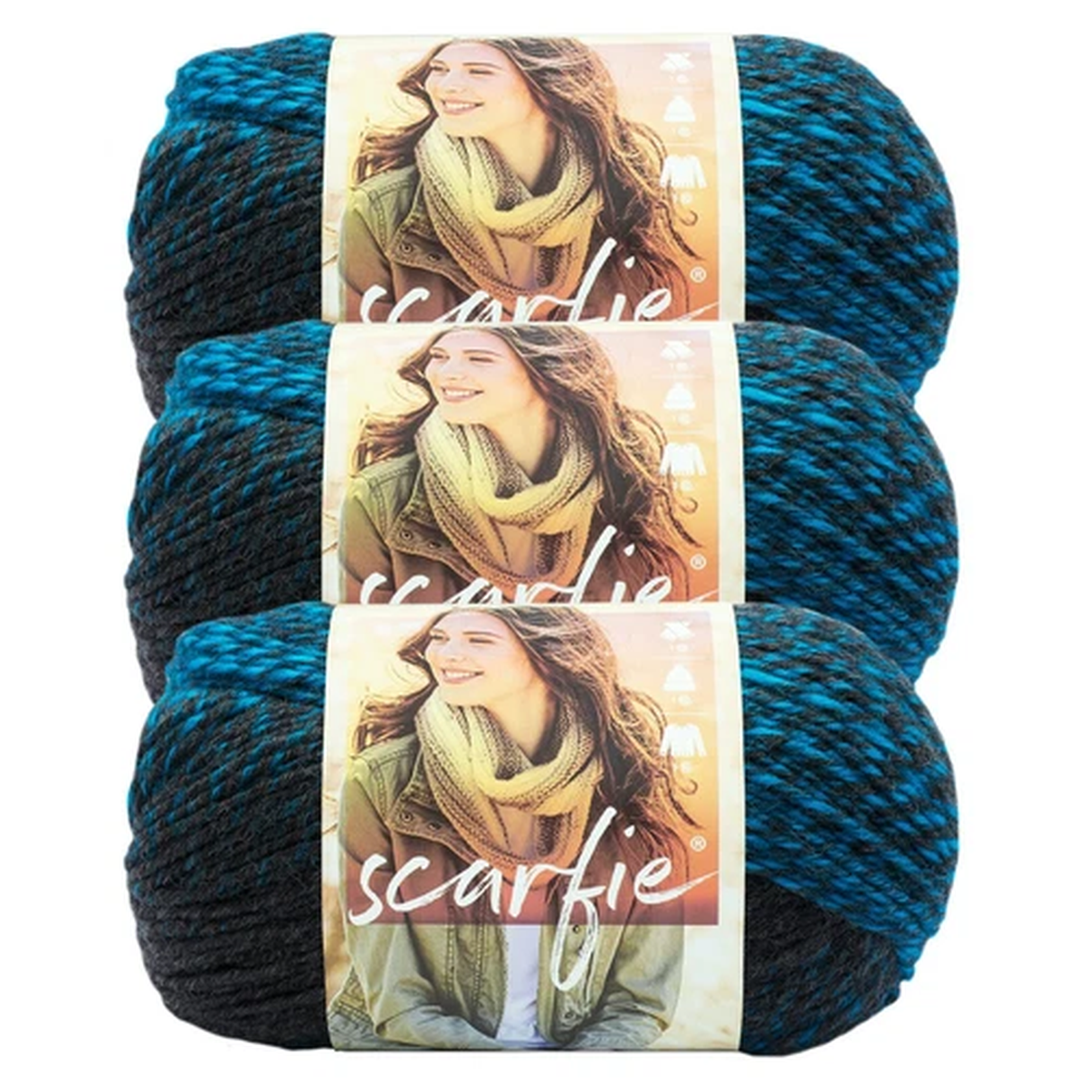 (3 Pack) Lion Brand Yarn 826-209W Scarfie Yarn, Charcoal/Aqua