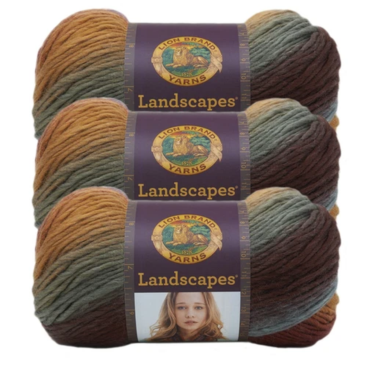 (3 Pack) Lion Brand Yarn 545-204AJ Landscapes Yarn, Desert Spring