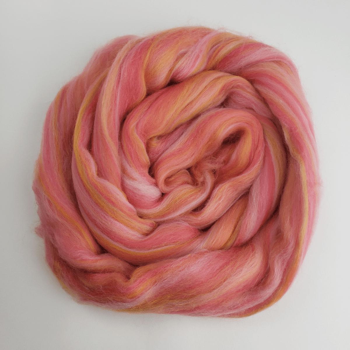 Rosy Maple Moth - Extrafine Multi-Colored Merino Top
