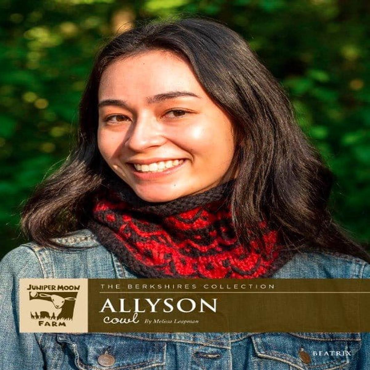 ALLYSON COWL Pattern | Juniper Moon - Leaflet