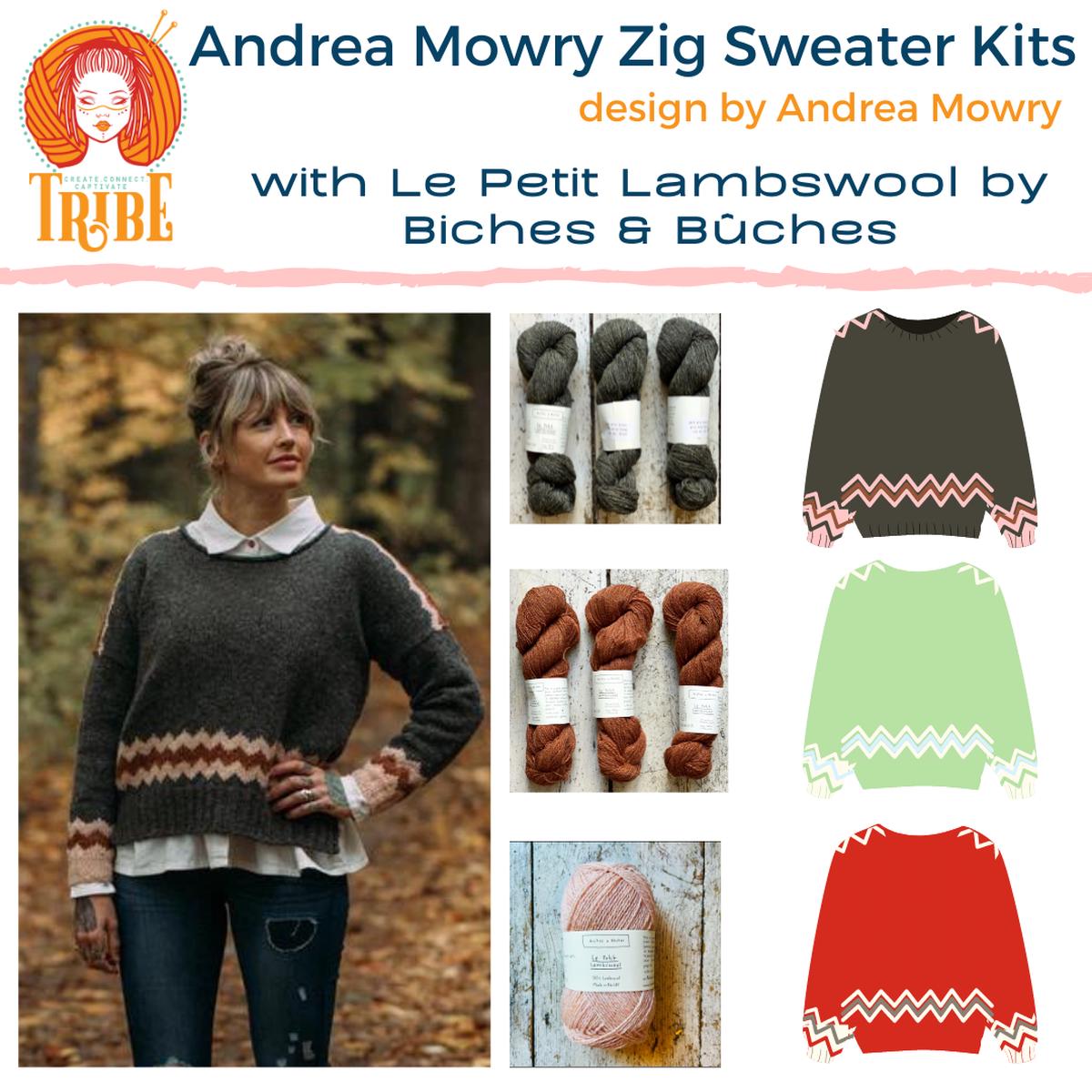 Andrea Mowry Zig Sweater Kit