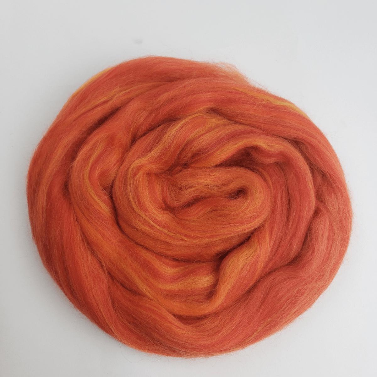 Tiger Moth - Extrafine Multi-Colored Merino Top